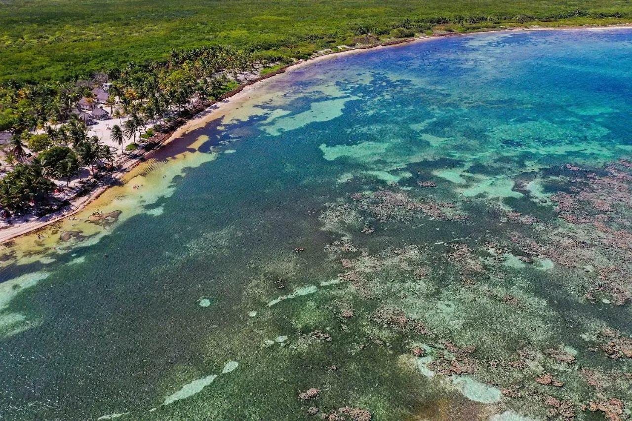 Cabanas Ecoturisticas Costa Maya Mahahual